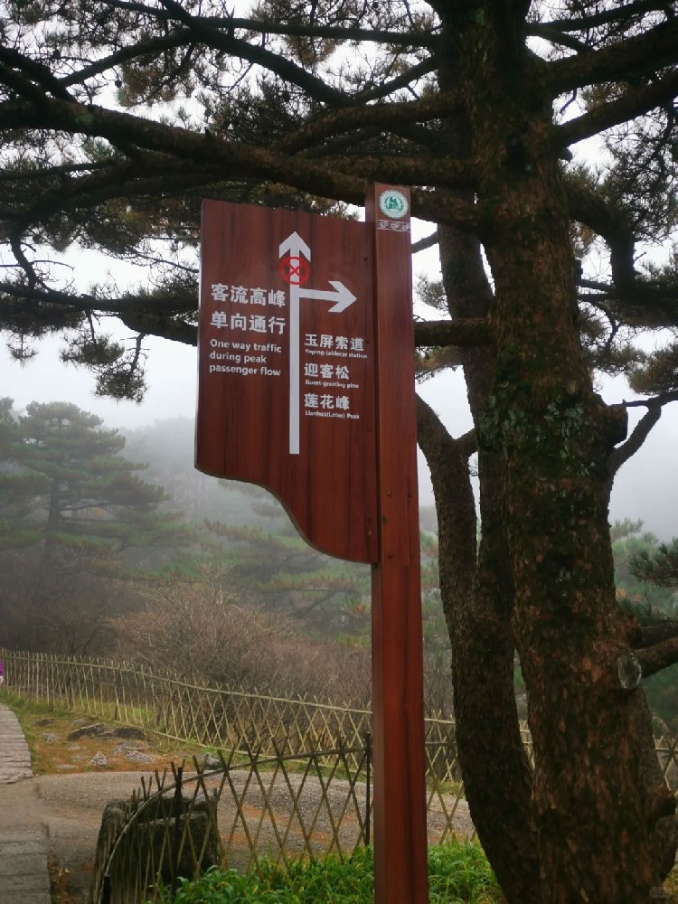 未标题-5.jpg